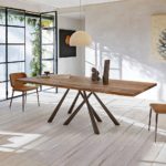 Forest – view 3