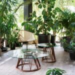 Acco – view 2