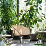 Colony – view 3