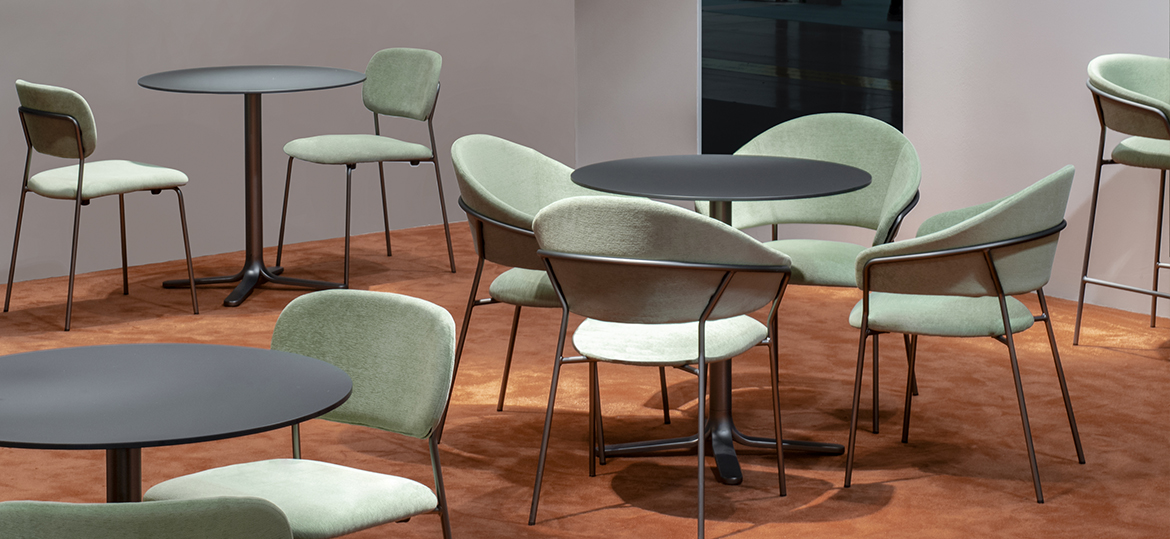 Dining Chairs