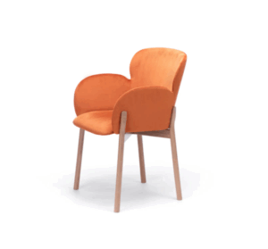 ginger_37 armchair 323 379
