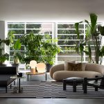 Elephant – view 4