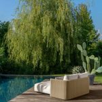GEORGE DAYBED – view 2