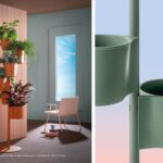 hevea 5183 – view 3