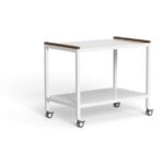 ACCESSORIES CART