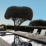 LADY RECLINABLE SUNBED – view 2