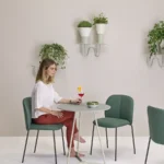 Mentha Pop – view 2