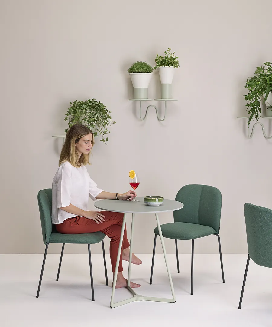 Mentha Pop – view 2