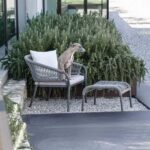 PLEASURE 2.0 POUF – view 7