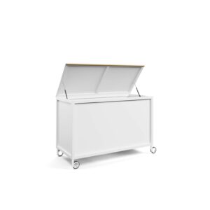 FLAIR ACCESSORIES BOX