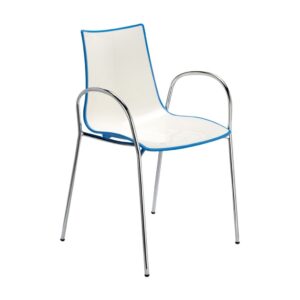 Zebra Bicolour with armchair