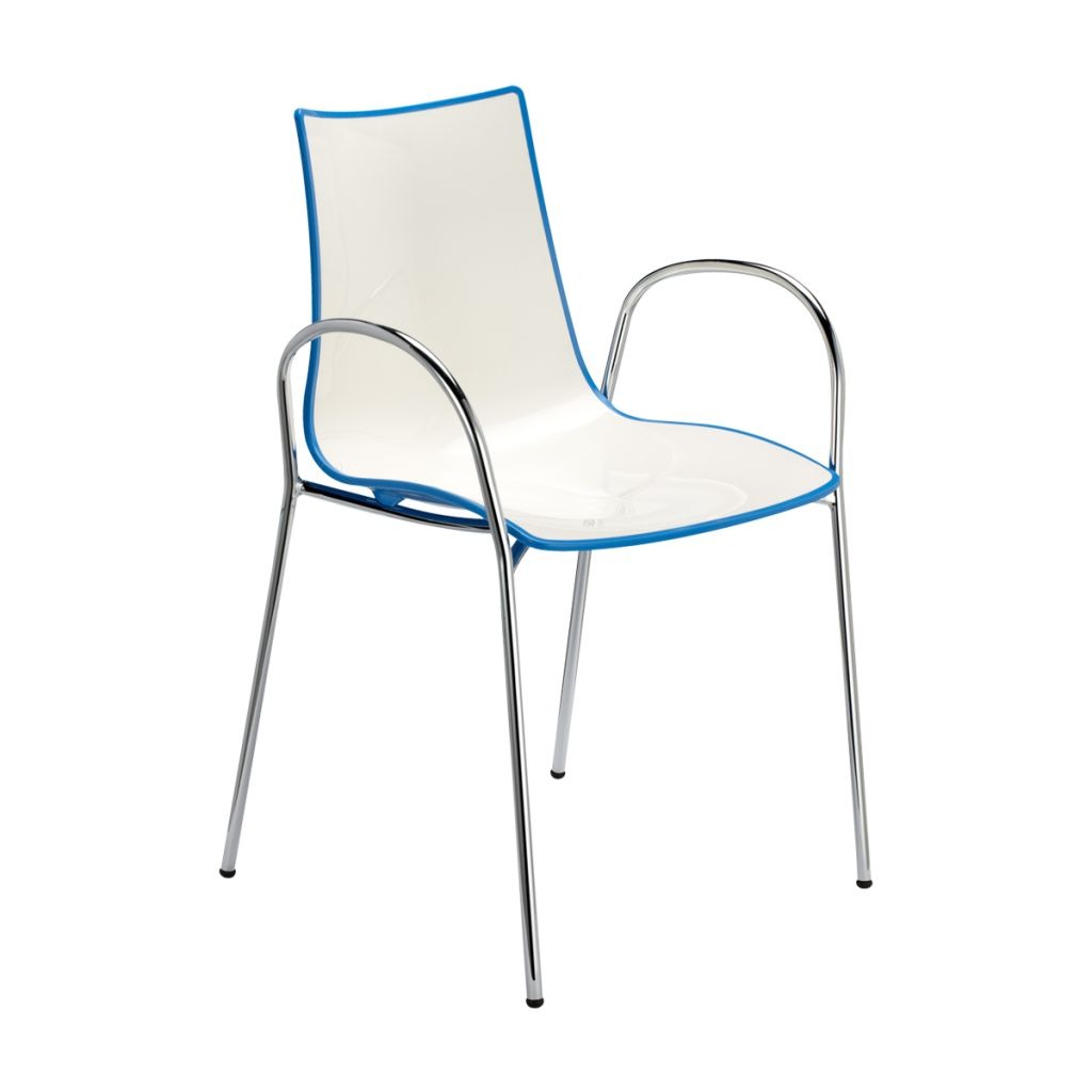 Zebra Bicolour with armchair